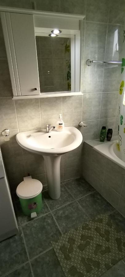 Sobe Lara Apartment Donji Milanovac Exterior foto