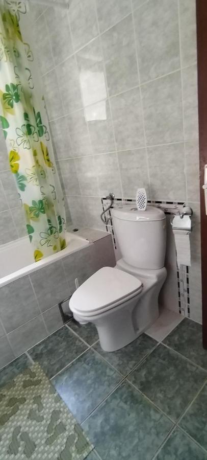 Sobe Lara Apartment Donji Milanovac Exterior foto