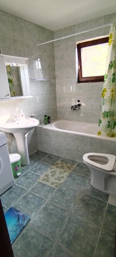 Sobe Lara Apartment Donji Milanovac Exterior foto