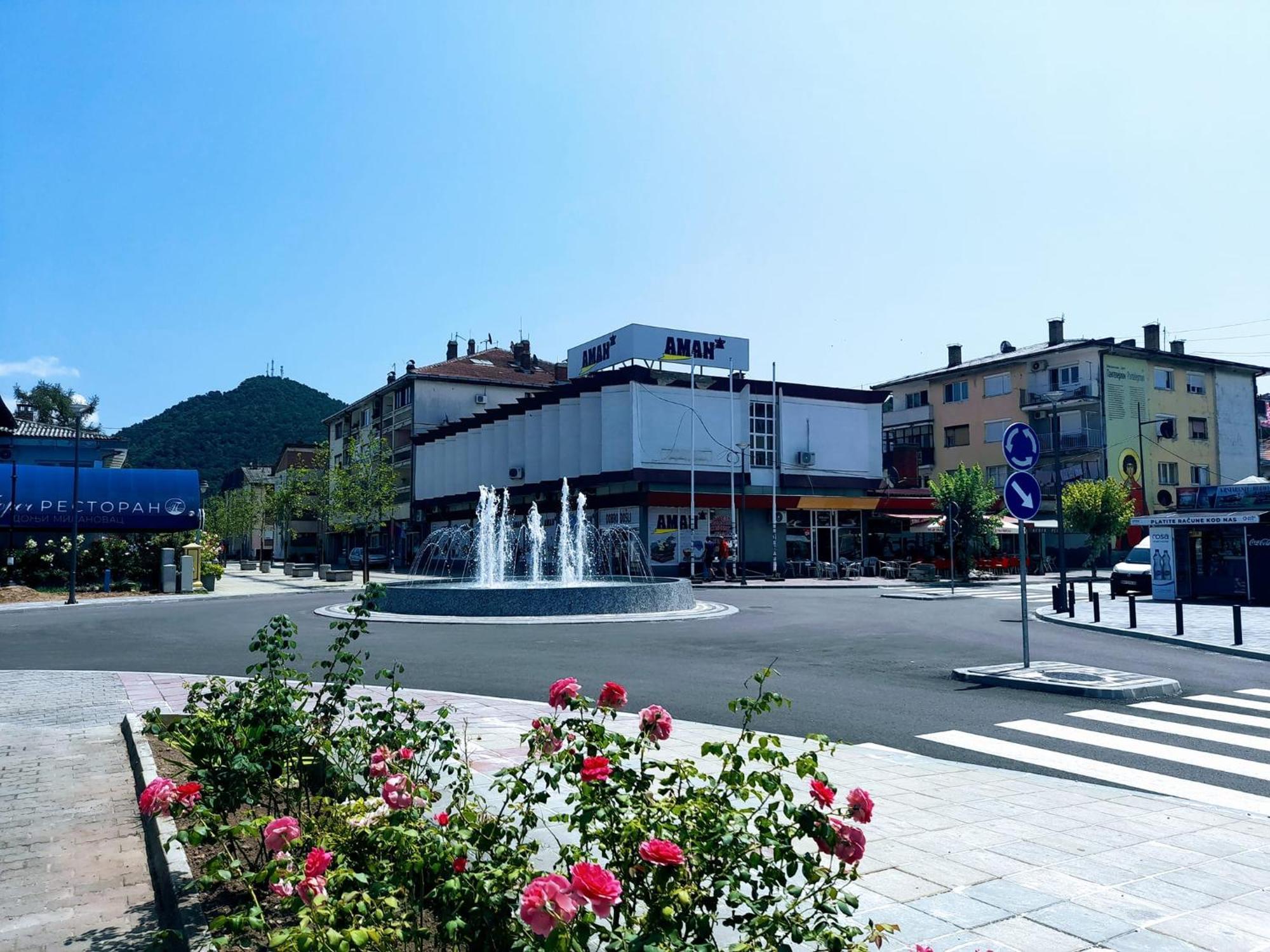Sobe Lara Apartment Donji Milanovac Exterior foto